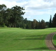 The Experience at Koele golf course plays through trees you don't usually see in Hawaii.