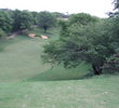 The 11th hole on The Dunes at Maui Lani Golf Course has you staring down and around trees.
