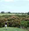 The Kiele's par-5 sixth hole features a long carry over lush vegetation. 