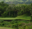 The island par-3 third at Luana Hills Golf and Country Club presents a very small target usually affected by wind. 