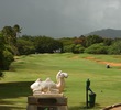 Animal statues sit at every tee box of the former Kiele holes, like the third hole: 