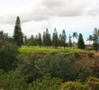The third hole at Pukalani Country Club features alternate greens, one of which carries a large ravine. 