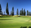 The short par-4 12th at Kona Country Club's Mountain Course is lined with Norfolk Pines.