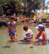 Children can feed the stingrays and baby hammerhead sharks swimming in the saltwater ponds of JW Marriott Ihilani Ko Olina Resort & Spa.