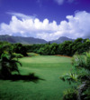 Puakea Golf Course highlights Kauai's lush natural scenery.