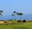 At 293 yards from the blue tees, big hitters can attempt to drive the fifth green of the Kings' golf course at Waikoloa Beach Resort. 