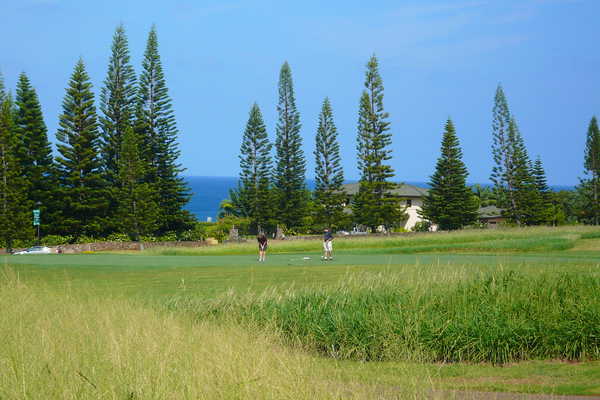 Plantation Course, Kapalua Resort