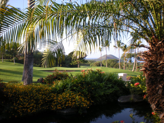 Wailea Gold - hole 18 green