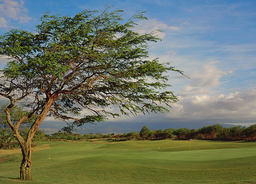 Dunes at Maui Lani Golf Course - hole 2