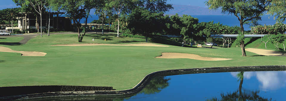 Wailea Blue #18