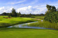 Turtle Bay Resort - Arnold Palmer's Course #8