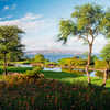 Wailea Emerald #17 (foreground) and #10 double green (Erica Chan)