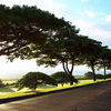 King Kamehameha
