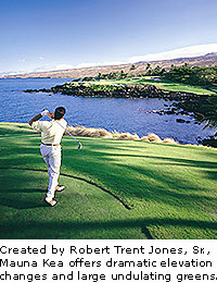 Mauna Kea Resort