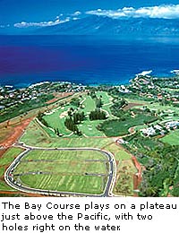 The Bay Course