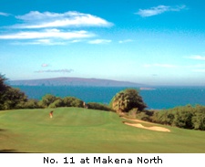 No. 11 at Makena North
