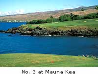 No. 3 at Mauna Kea