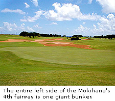 Mokihana