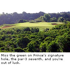 Prince's Signature Hole