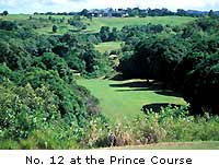 No. 12 at the Prince Course