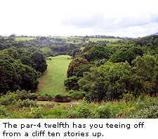The Prince Course