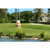 Golfers can greet the bear as they walk onto the finishing hole of the Kiele Moana nine at Kauai Lagoons Golf Club.