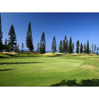 The short par-4 12th at Kona Country Club's Mountain Course is lined with Norfolk Pines.