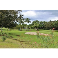 Native flowers and plants set the scene near the sixth green at Olomana Golf Links in Waimanalo.