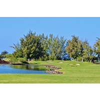 No. 13 is the second short, risk-reward par 4 on the Kings' Course at Waikoloa Beach Resort.